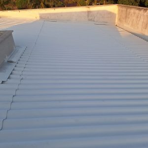 WhatsApp Image 2026-03-06 at 23.03.55